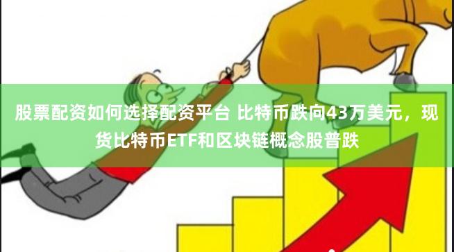 股票配资如何选择配资平台 比特币跌向43万美元，现货比特币ETF和区块链概念股普跌